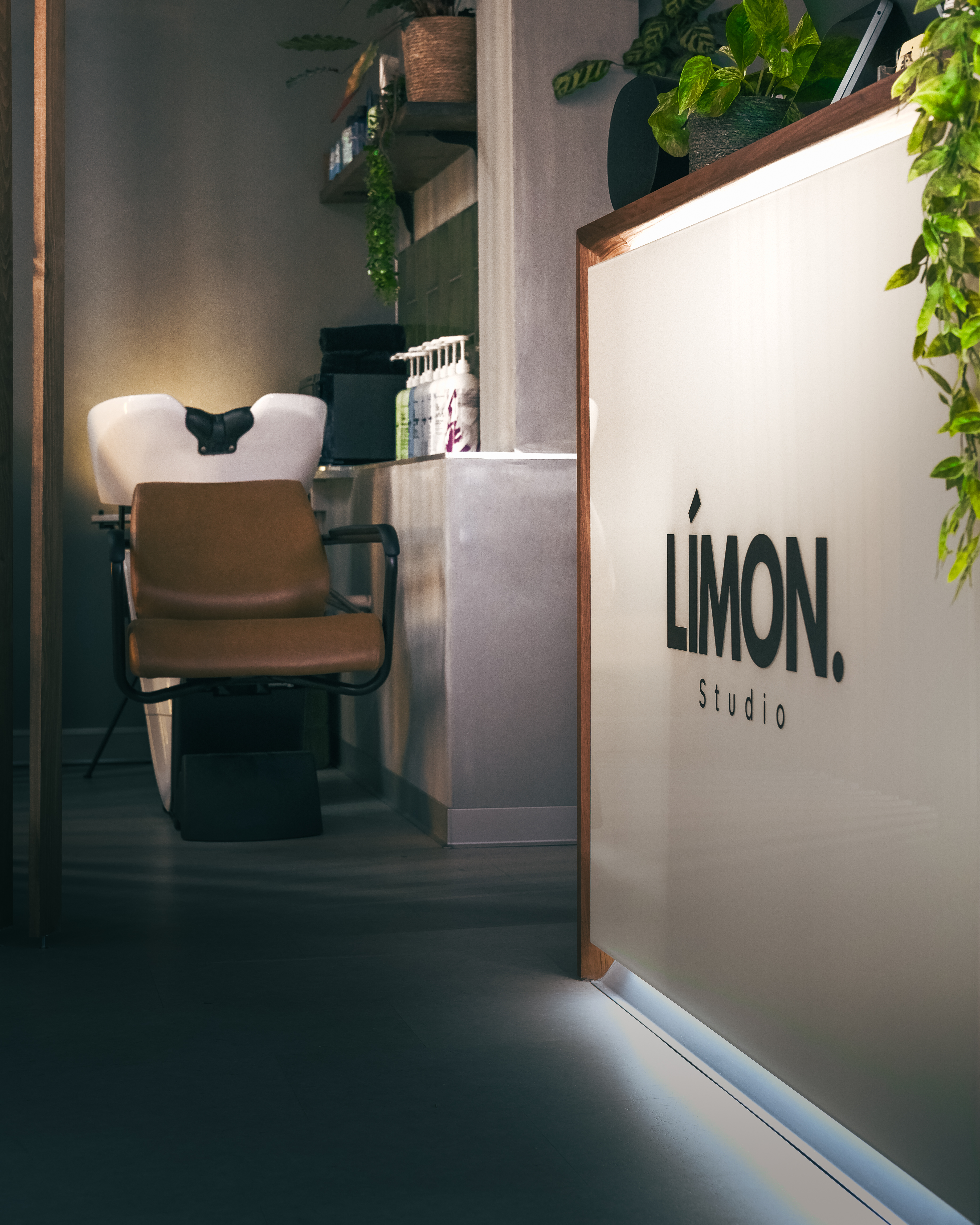 Limon Studio - DSCF6418.jpg